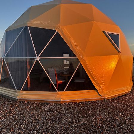 Villa Nude Glamping Dome Willcox Exterior foto